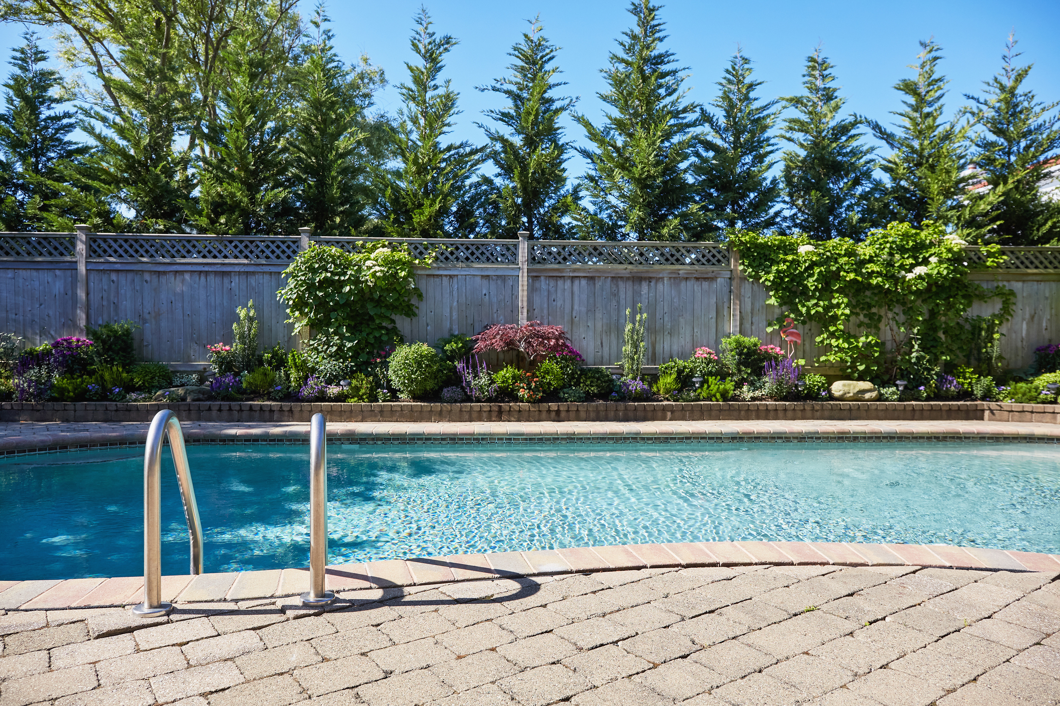 Backyard pool